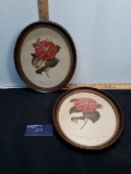 Set of framed Camellia Prints