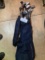 Golf Clubs, various brands, in bag, womens/childrens