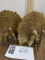 brass peacock bookends set of two