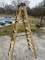 Approx 7 Foot Tall Werner Fiberglass Ladder