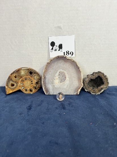 Rock/fossil lot