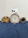 Rock/fossil lot