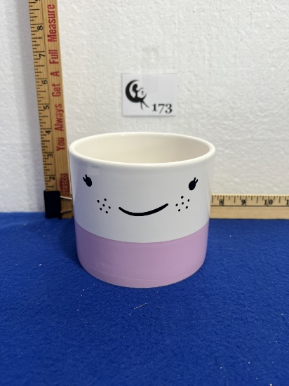 Blush Face Planter - new