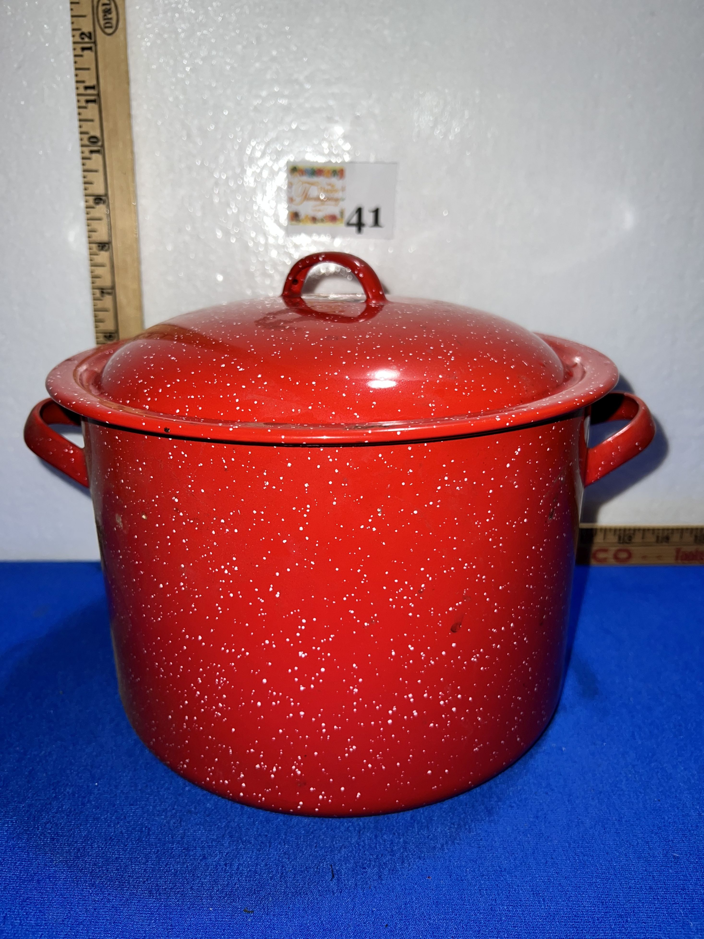Red Speckled Enamelware 5 QT Pot W/ Lid & Handles