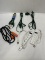 Box Lot/Extension Cords/Surge Protectors