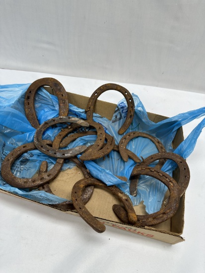 (12) Vintage Horseshoes