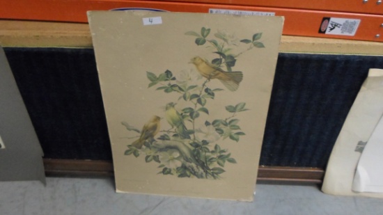 bird art, vintage image of song birds and flowers