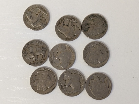 Lot of 8 Buffalo Nickels