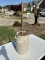 Vintage Butter Churn with #4 On It