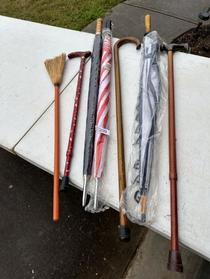 Box Lot/Canes and Umbrellas