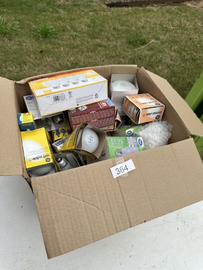 Box Lot/Light Bulbs