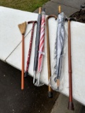 Box Lot/Canes and Umbrellas