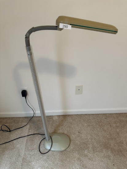 Articulating Head Floor Lamp (Local Pick Up Only)