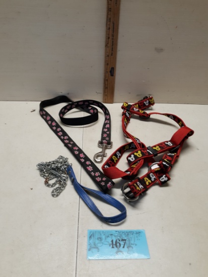 Dog Harness, Leash