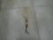 racket, vintage badminton racket by ektelon quazar 19in long