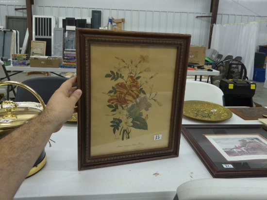 framed print, vintage floral print by chirat 13x16