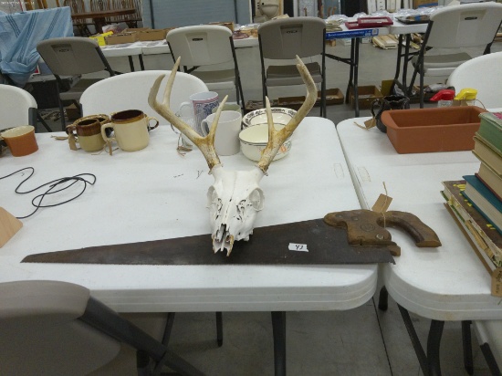 vintage items, old saw and a cleaned and painted skull of a 8 point deer