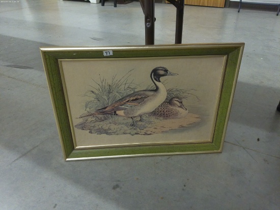 duck art, framed print 12x18 by lambert prod.