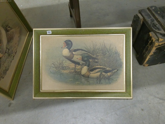 duck art, framed print 12x18 by lambert prod.