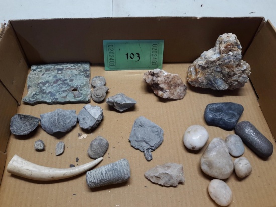 Misc Collections, rocks, horn, and more