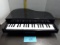 Battery Operated Kids Piano