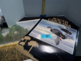 1997 Duck Stamp Poster, Mallard Haven by Jim Booth Print