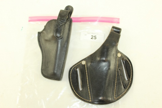 Paddle Holster and Safariland 29 Colt Holster