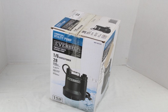 Everbilt 1/6 HP Portable Water Removal Pump.