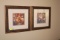 (2) Framed and Matted Floral Prints