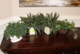 (4) Decorative Plants & Pots