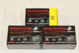 30 Rounds of Winchester 