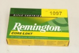 20 Rounds of Remington 