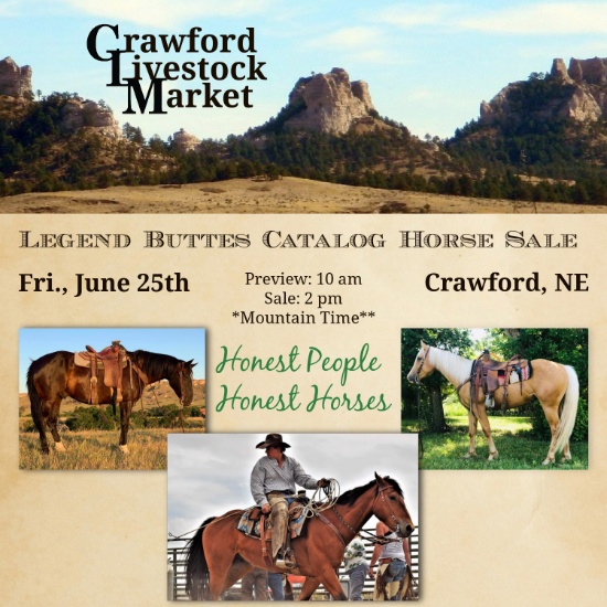 2021 Legend Buttes Catalog Horse Sale