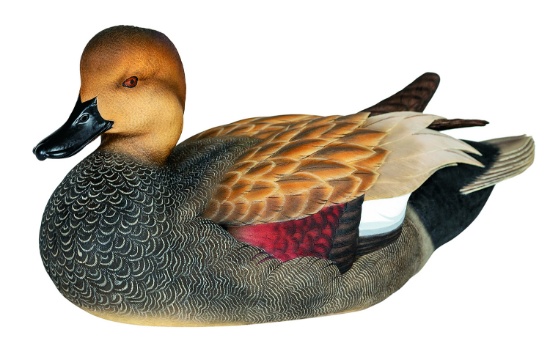 Gadwall Decoy