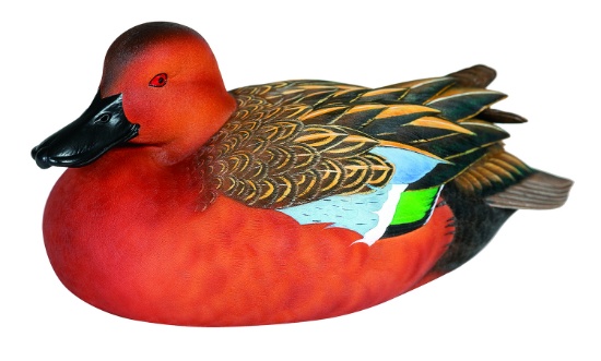 Cinnamon Teal Decoy