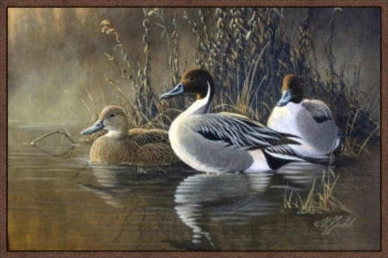 Pintail Trios