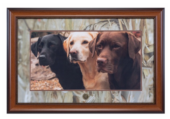 Lab Photo with Wetlands Mat