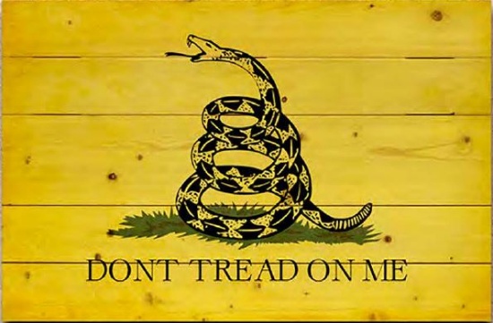 Don’t Tread on Me Wood Flag