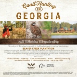 Georgia Quial Hunt for 4 at Beaver Creek Plantation