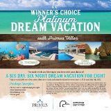 Dream Vacation for 8- Platinum Package