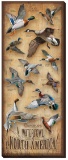 Waterfowl of North America Wrapped Canvas