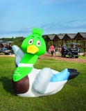 Inflatable Mallard