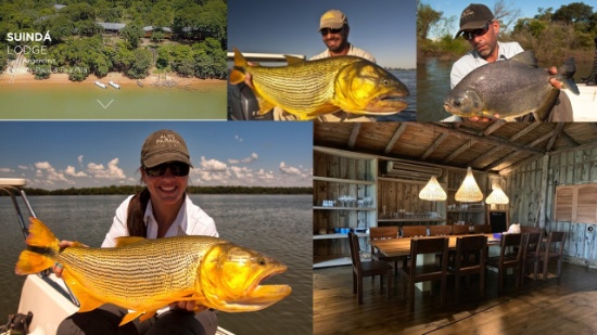 Argentinean Freshwater Golden Dorado Fishing for 2