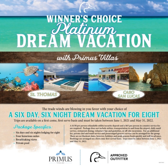 Dream Vacation for 8- Platinum Package