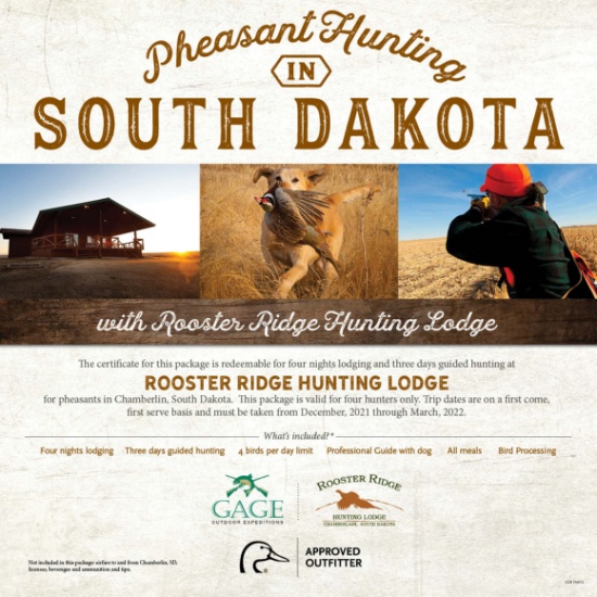 South Dakota Pheasant hunting for 4- Rooster Ridge