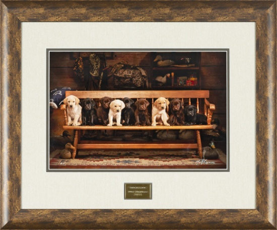 Nine in a Line Puppy Photo