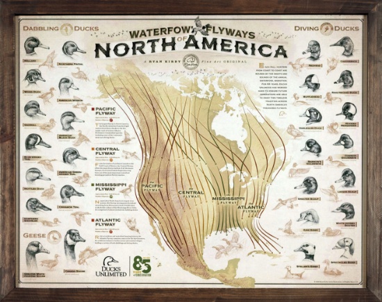 DU Waterfowl Flyways Map