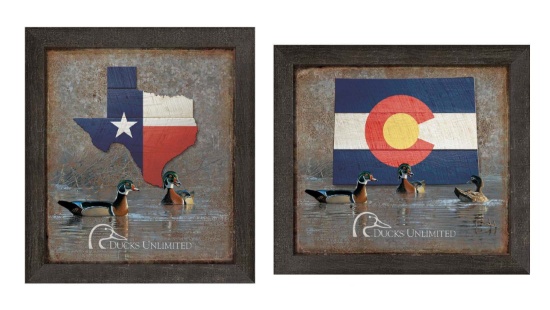 Custom State Flag Framed Tin Sign