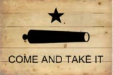 Come and Take It Wood Flag