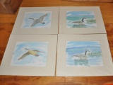 Lot of 5 Original Watercolors of Canada Geese.